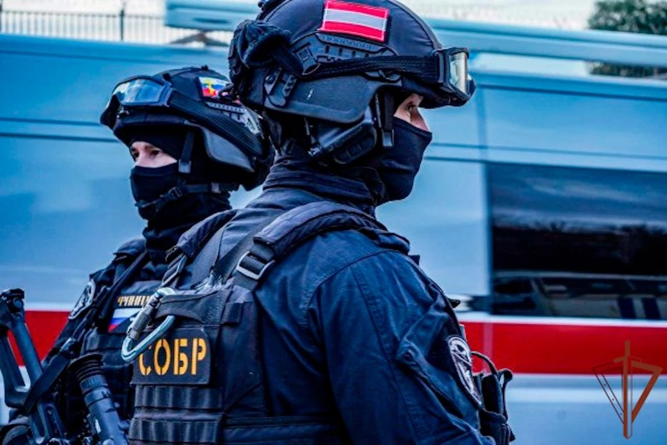 Мужчина подозревается в разбойном нападении на женщину на востоке Москвы. Фото: пресс-служба ГУ Росгвардии