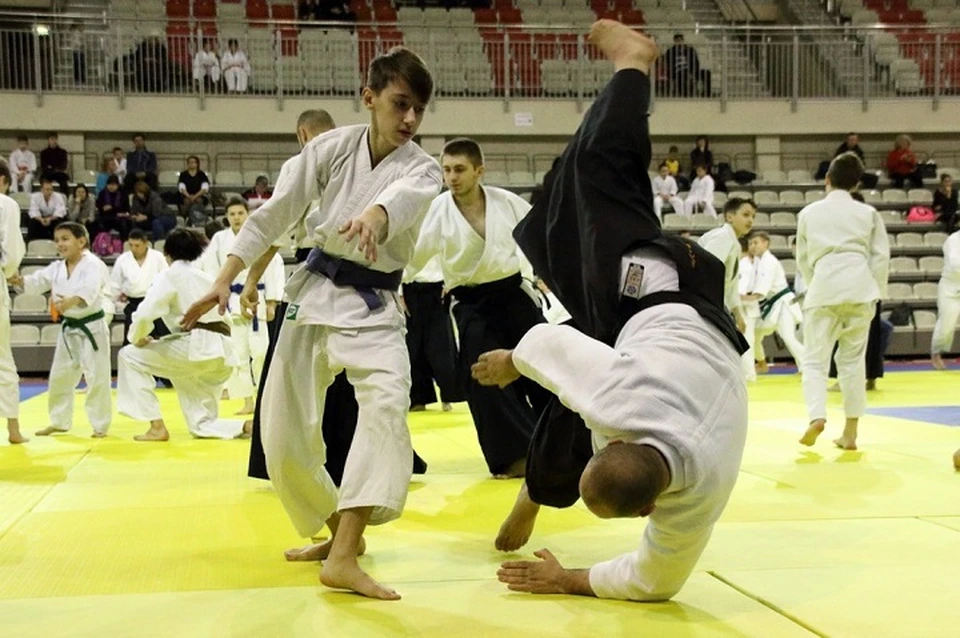 Оснащенность спортучреждений ДНР выросла до 50% благодаря федеральной субсидии