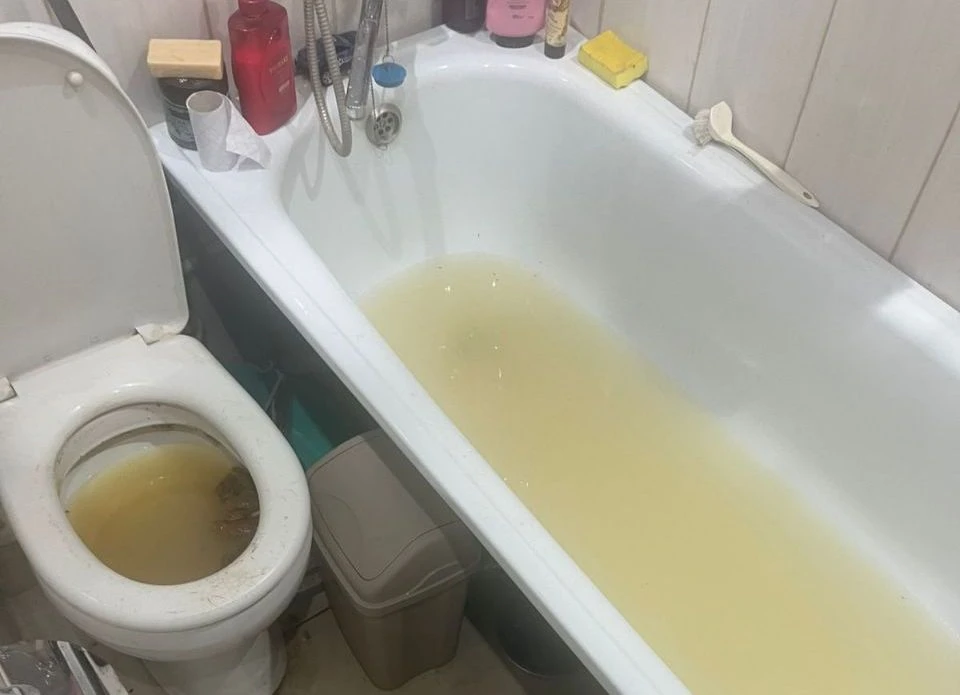 Фото читателя