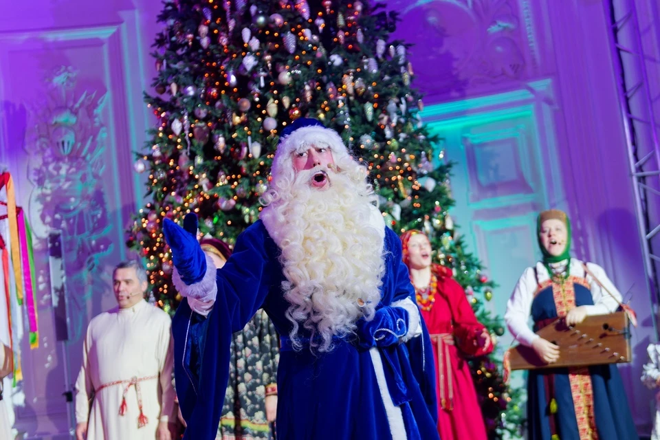 Новогодние представления для детей 2025-2026 в Иркутске пройдут в театрах, филармонии, планетарии и даже зоопарке