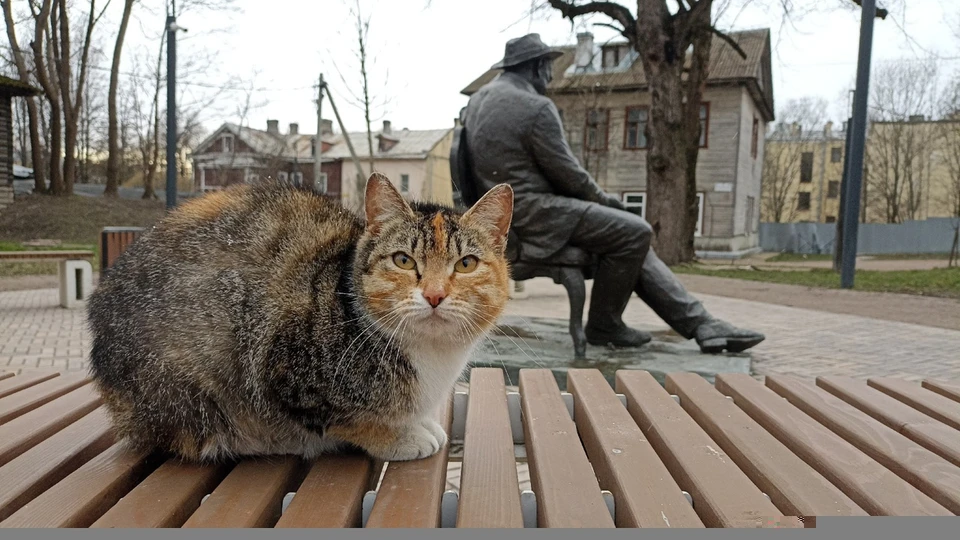 Фото: Музей Александра Ивановича Куприна