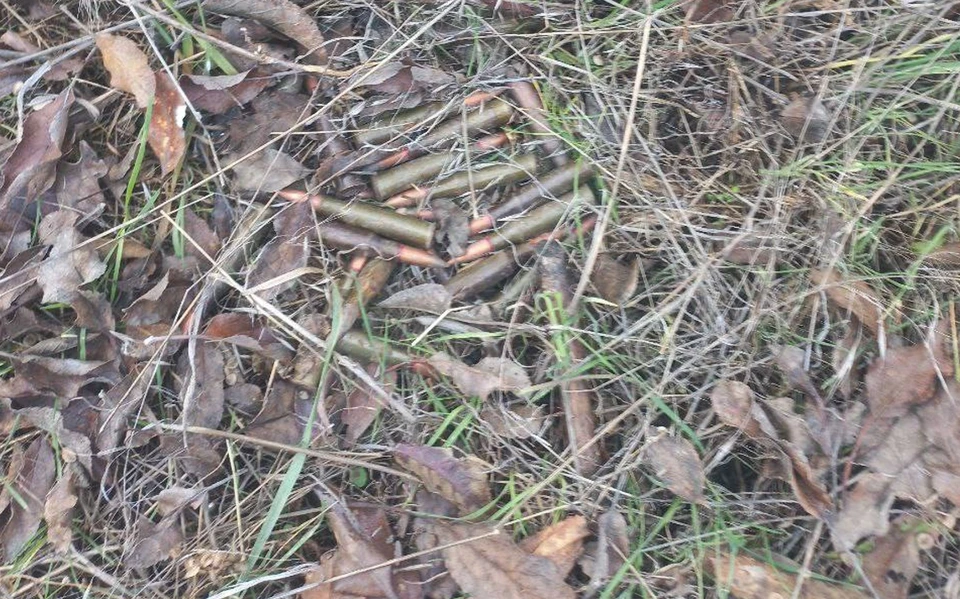Боеприпасы обнаружили у запорожского села. Фото - ГУ МВД России по Запорожской области