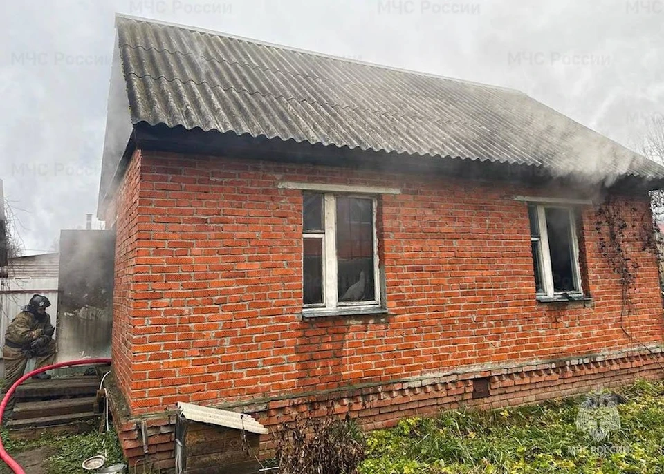 Московские огнеборцы спасли собаку и щенков, находившихся в горящей постройке. Фото: ГУ МЧС России по Московской области