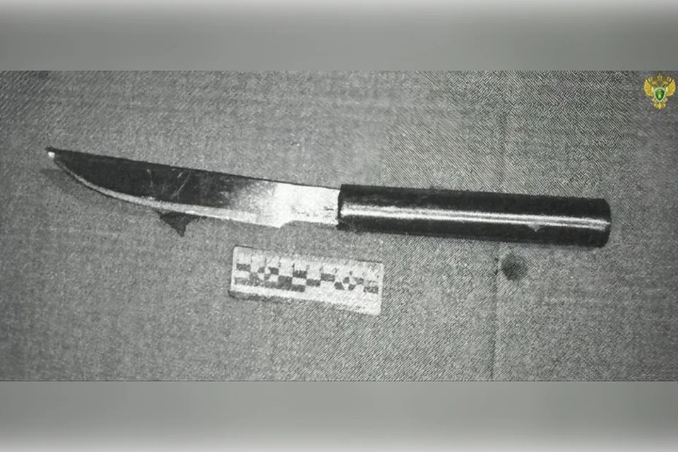 Нож, с которым было совершено нападение. Фото: прокуратура ЗО