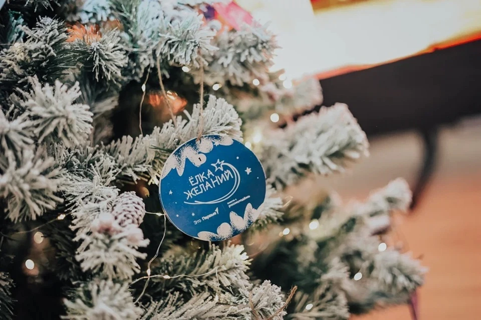 В ДНР дали старт Всероссийской акции «Елка желаний». Фото: Минмол ДНР