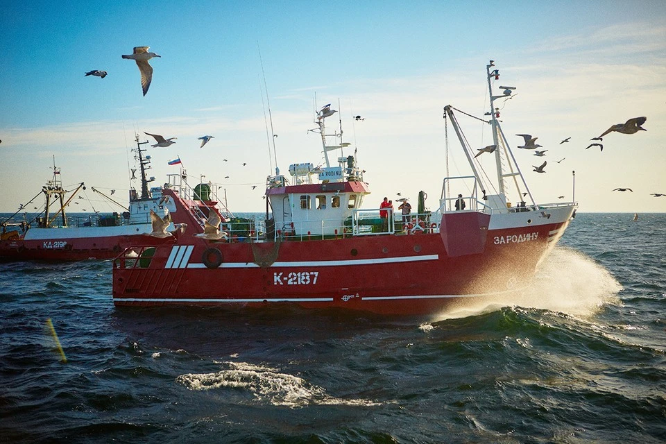 Фото: Пресс-служба ООО «Рыбзавод «За Родину»