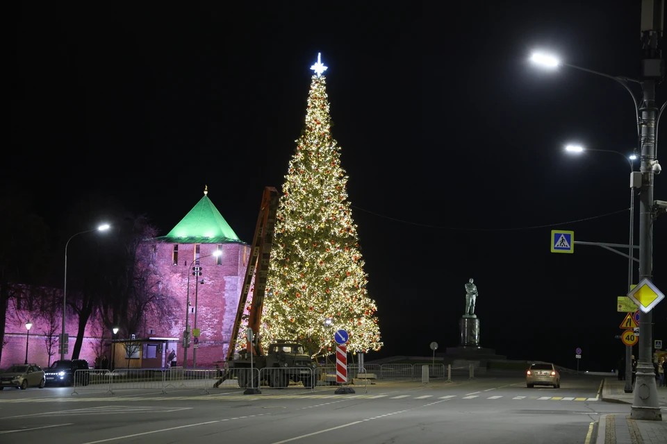 Мэрия отреагировала на жалобы горожан на кривую ель в центре Нижнего Новгорода.