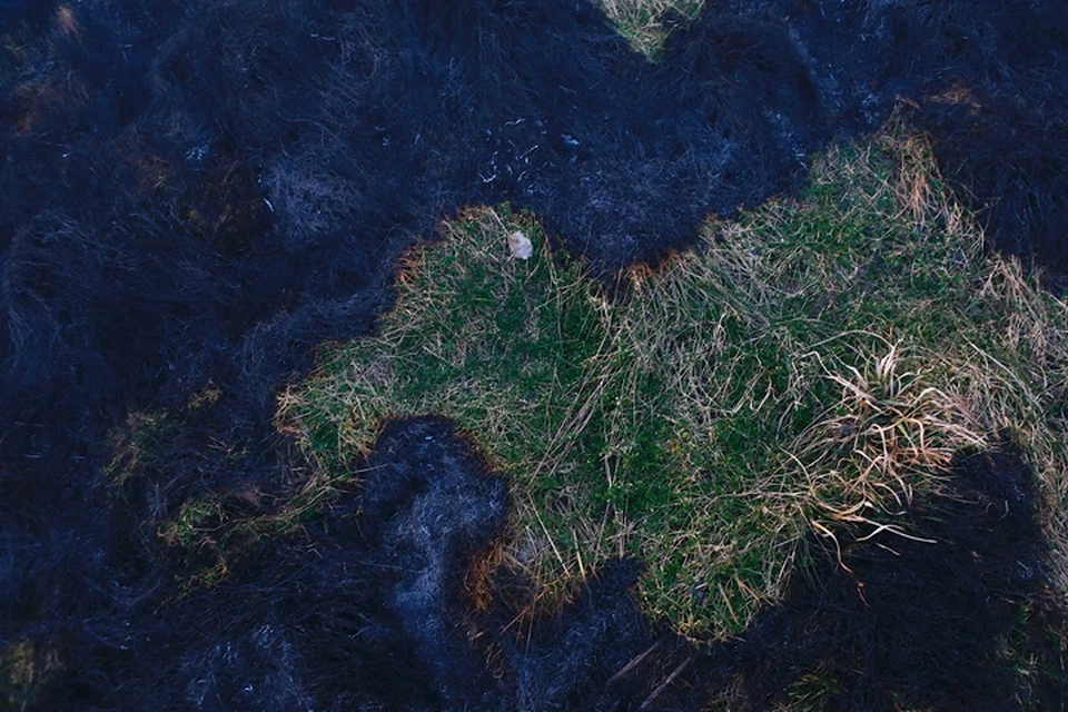 В парламенте Якутии обсудили легализацию сельскохозяйственных палов