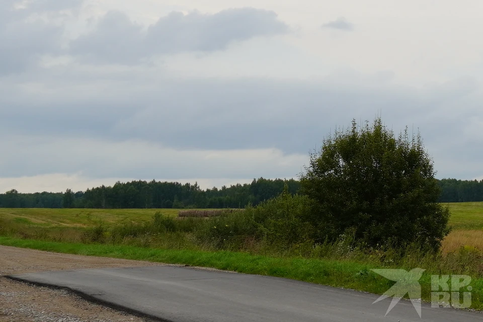 Под Рязанью дорогу проложили по плодородному слою земли