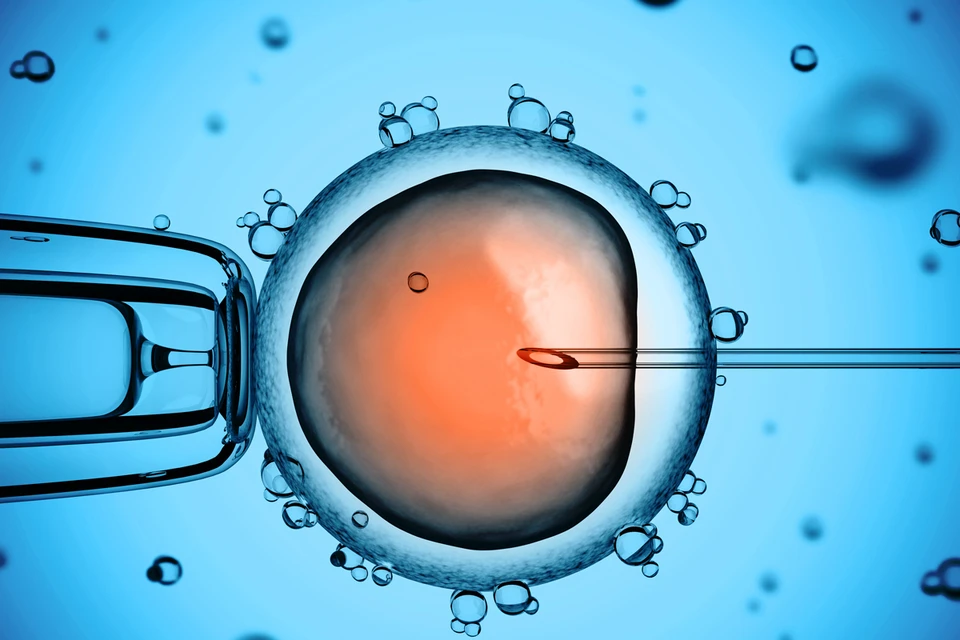 Первые данные об аномалии поступили в 2020 году. Фото: koya979/Shutterstock/Fotodom