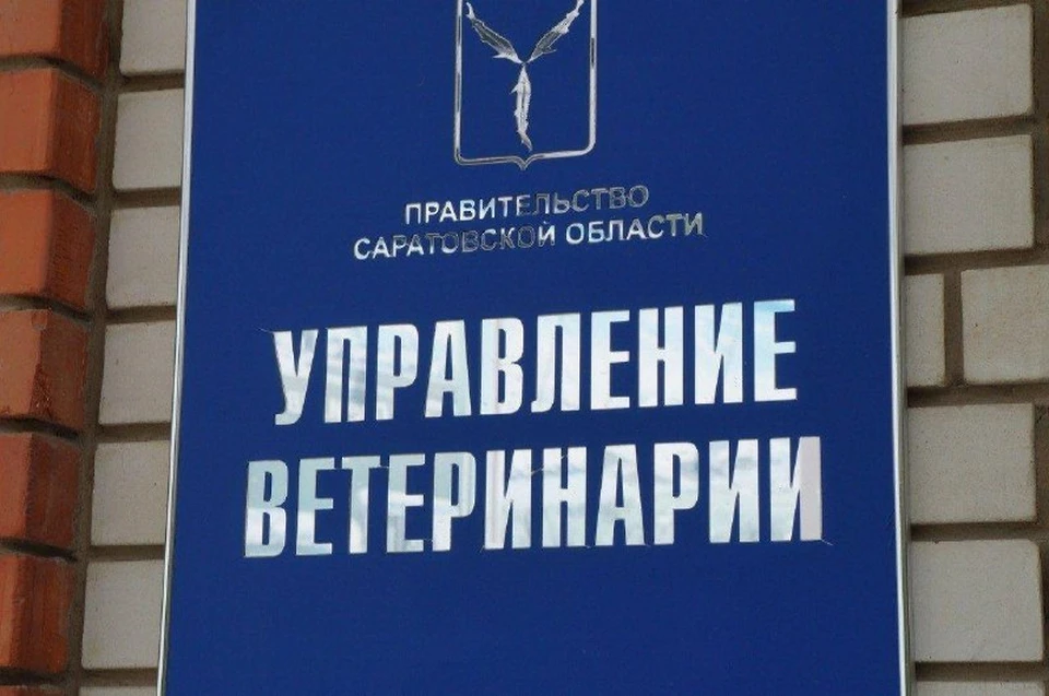 Фото: МинИнформ 64 Z