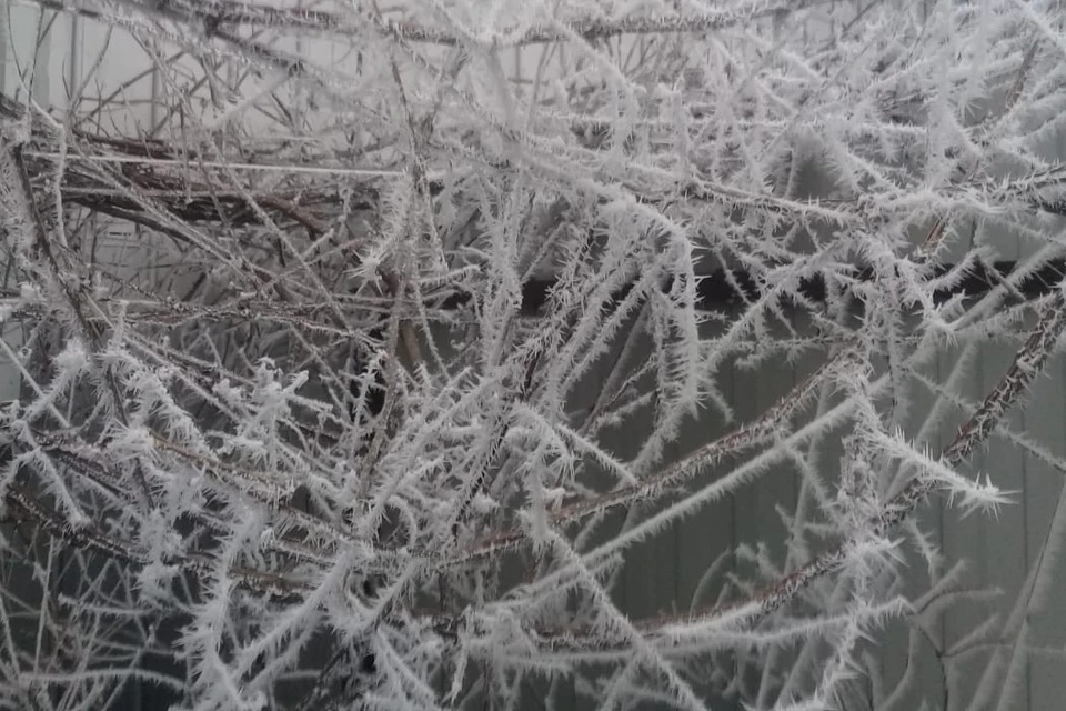 В Белгороде ночью ожидается от -15 до -17 градусов, днем будет -9-11 градусов.