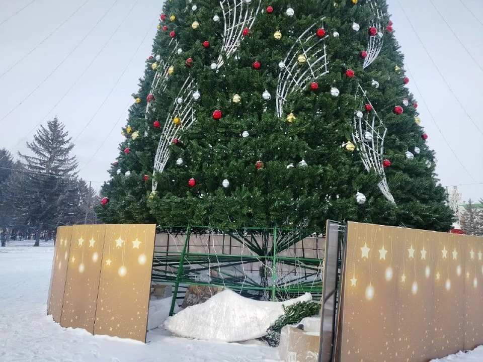 Фото: мэрия Биробиджана