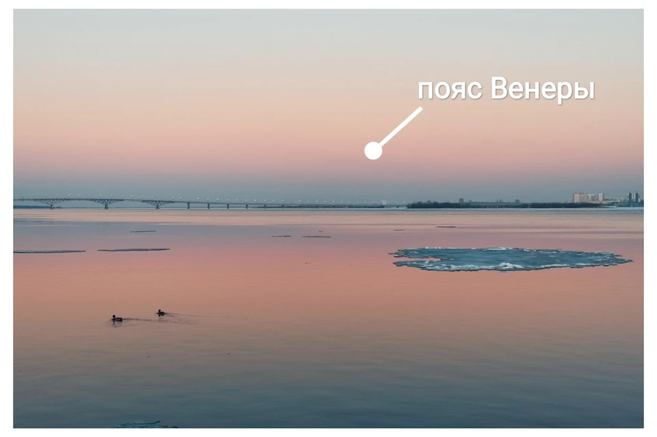 Фото: Максима Червякова