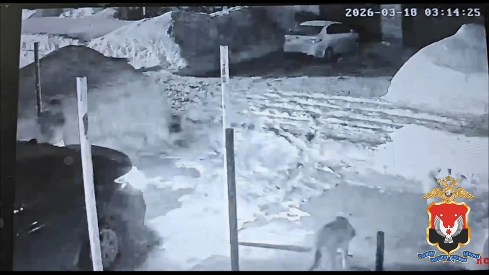 Возбуждено уголовное дело. Фото: МВД Удмуртии