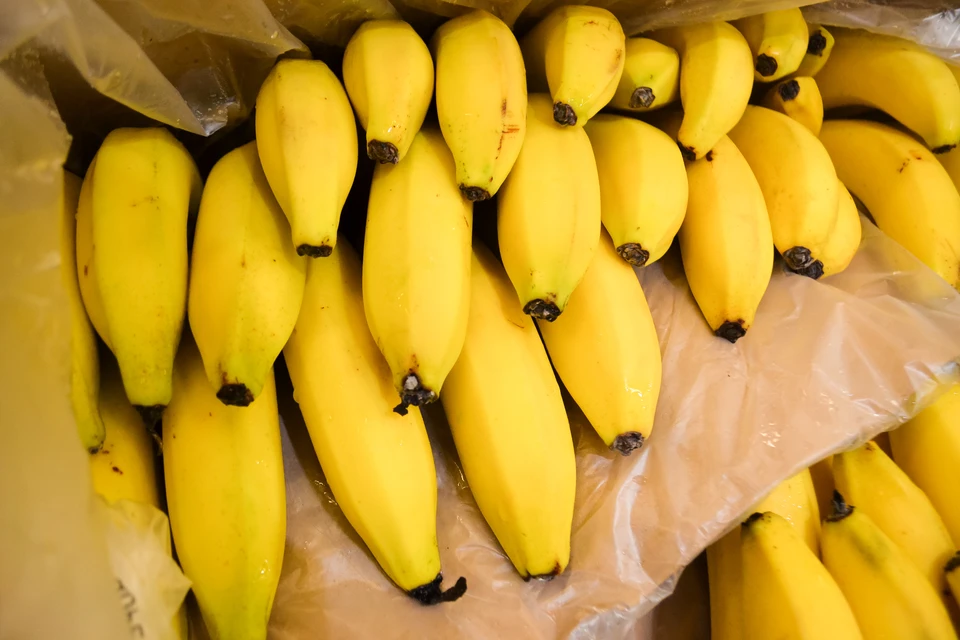 В Британии изъяли почти тонну кокаина на $100 млн, спрятанного в бананах