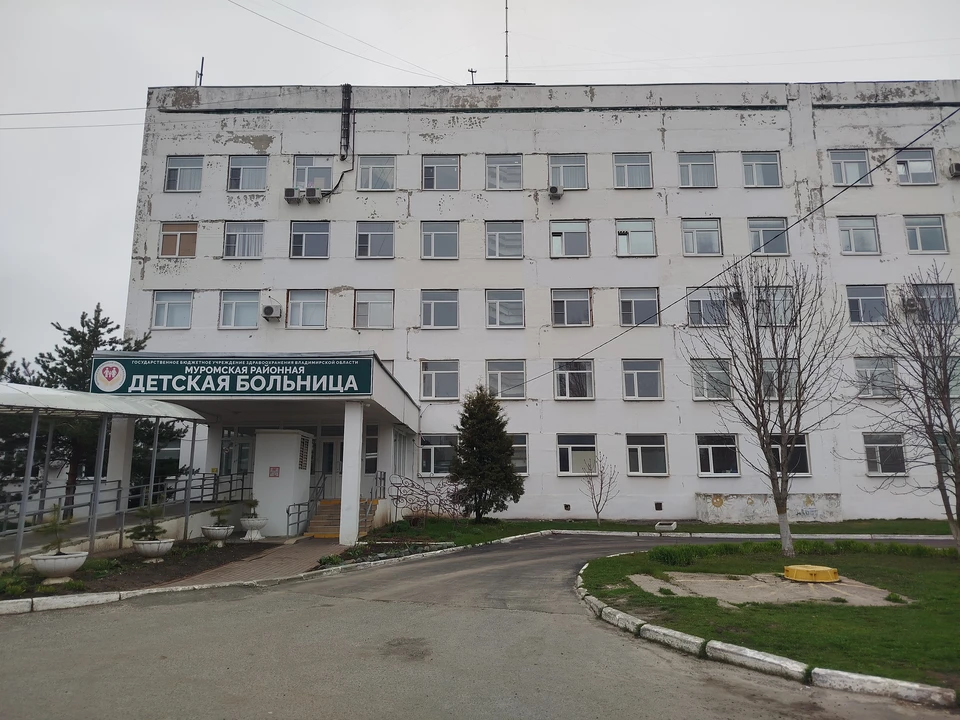 Муромская районная детская больница
