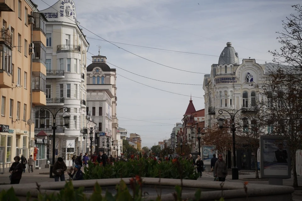 Участники займутся уборкой, высадкой цветов и деревьев