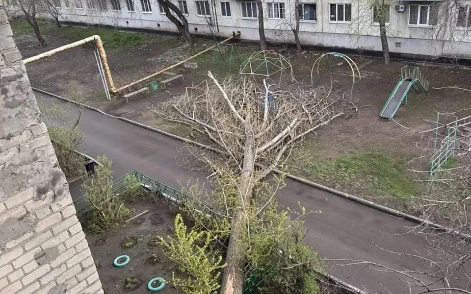Фото: телеграм-канал «Энгельс. Происшествия».