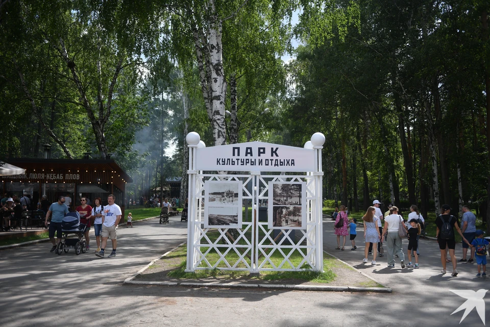 с 29 апреля по 1 мая в парке Маяковского не рекомендуют гулять с детьми и собаками