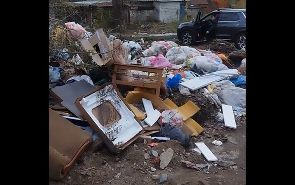Скрин с видео читателя