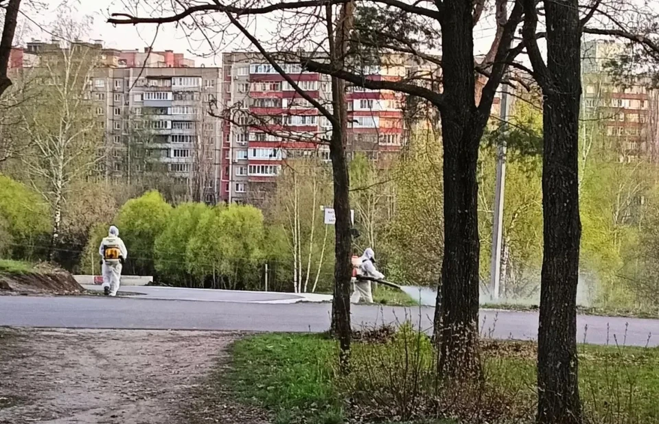 Фото пресс-службы администрации города Липецка.