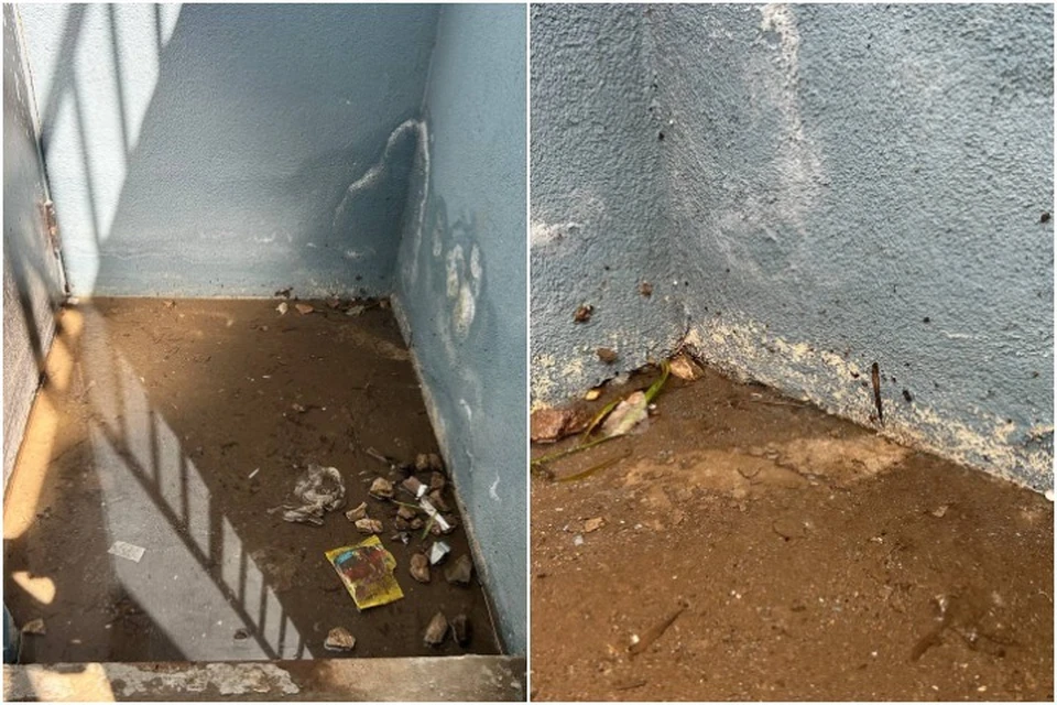 По словам жильцов дома, вода в подвале уже выше 30 сантиметров.