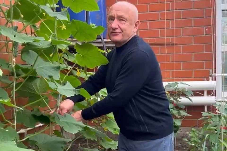 Скрин с видео Сергея Маненкова