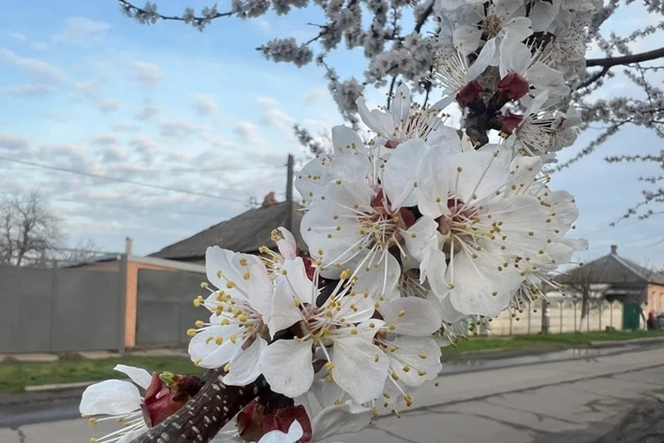 Луганская Народная Республика окажется в эпицентре малоподвижного влажного фронта