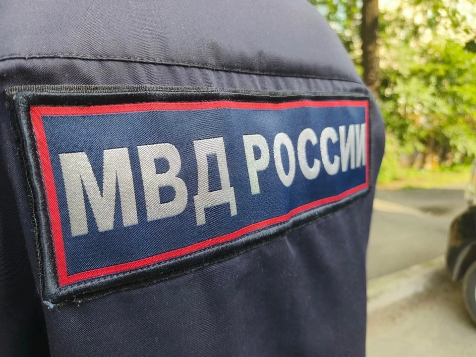 Фото: Маргарита Сурина