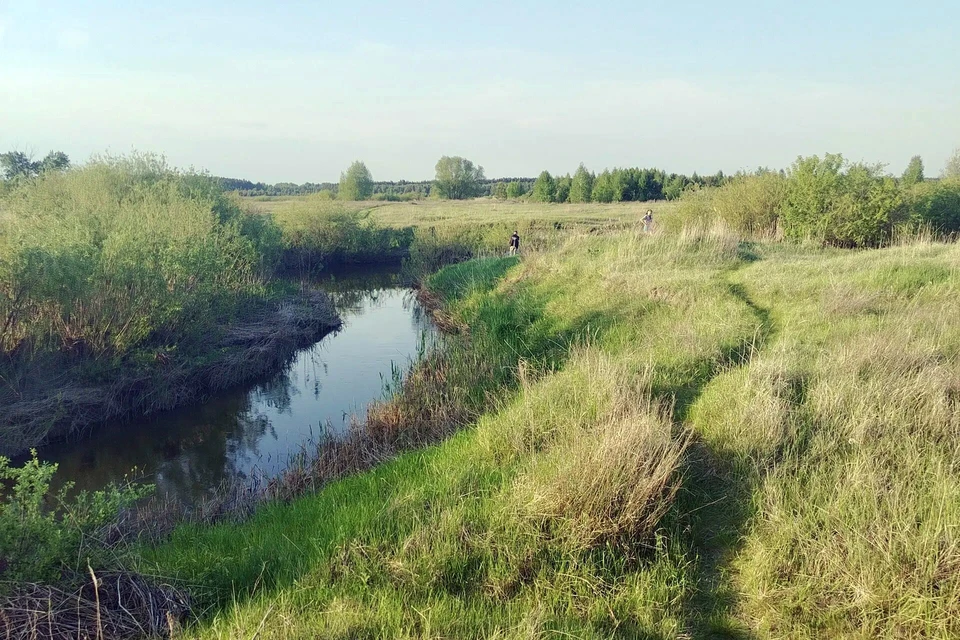 Место трагедии. Фото: СУ СК по Курганской области