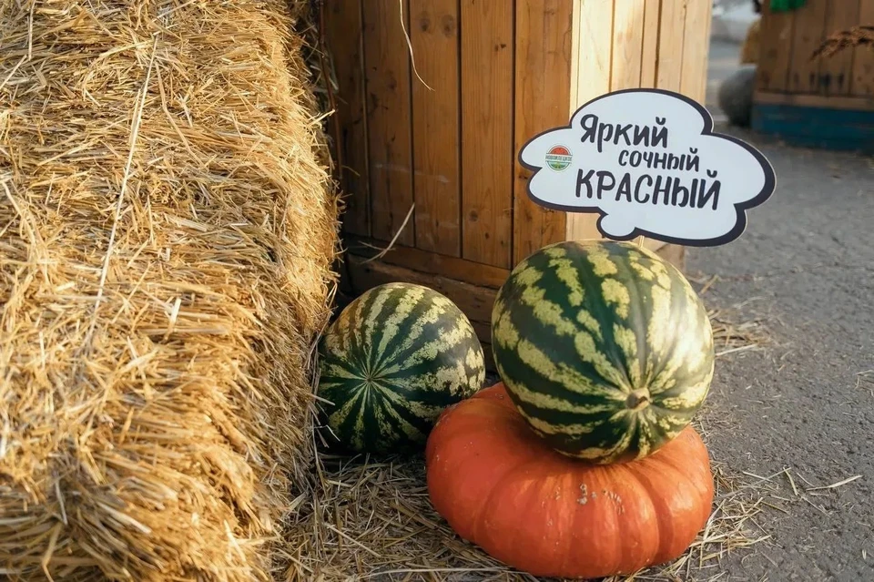Для гостей подготовили развлекательную программу. Фото: правительство Оренбуржья