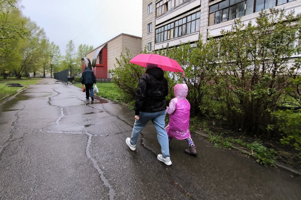 Зонтики понадобятся томичам в среду, 20 мая