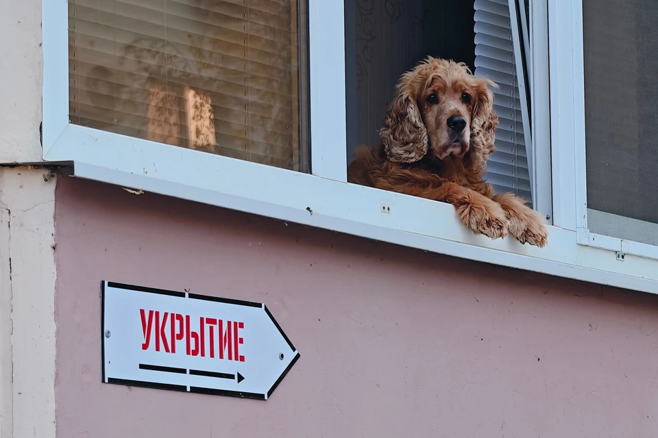 LRT заявил о недовольстве жителей Вильнюса эвакуацией при воздушной тревоге