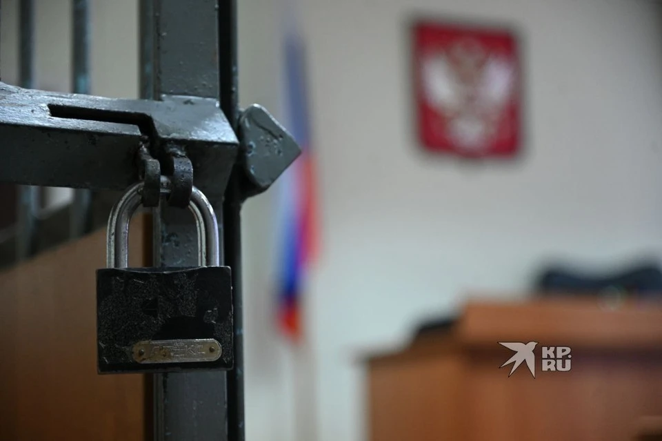 РИА Новости: суд в Москве отправил в СИЗО бывшего сенатора Василия Думу
