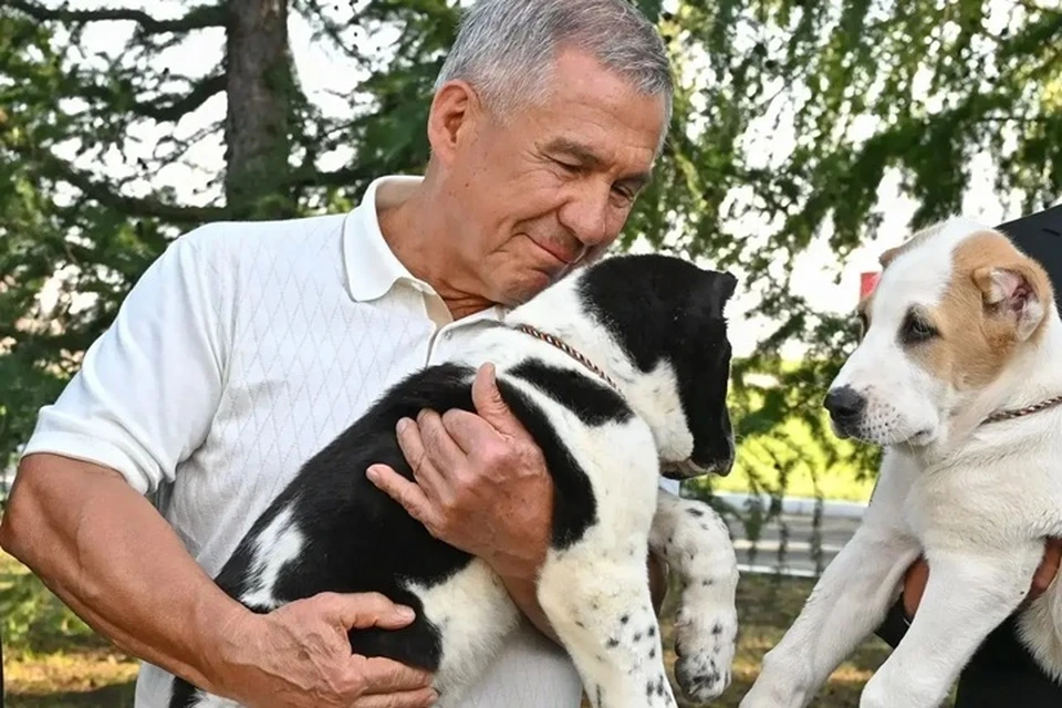 Щенков назвали Алабай и Аладжа. Фото: max.ru/rustamminnikhanov