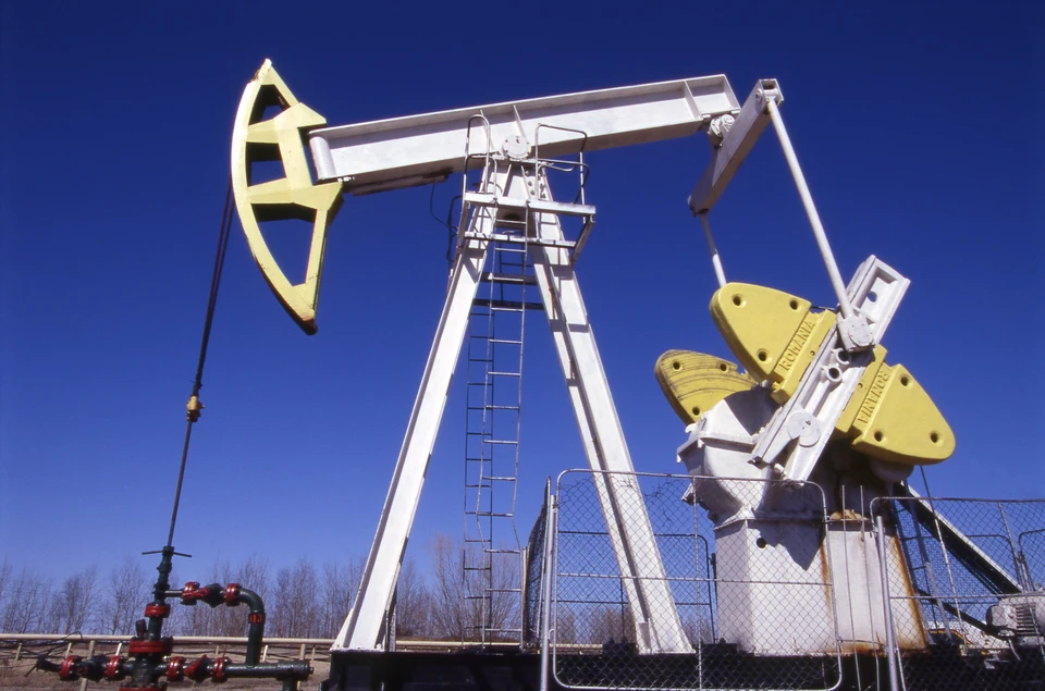 Иран посоветовал готовиться к нефти по $200 за баррель после ударов США. Фото: Boris Babanov/GLOBAL LOOK PRESS