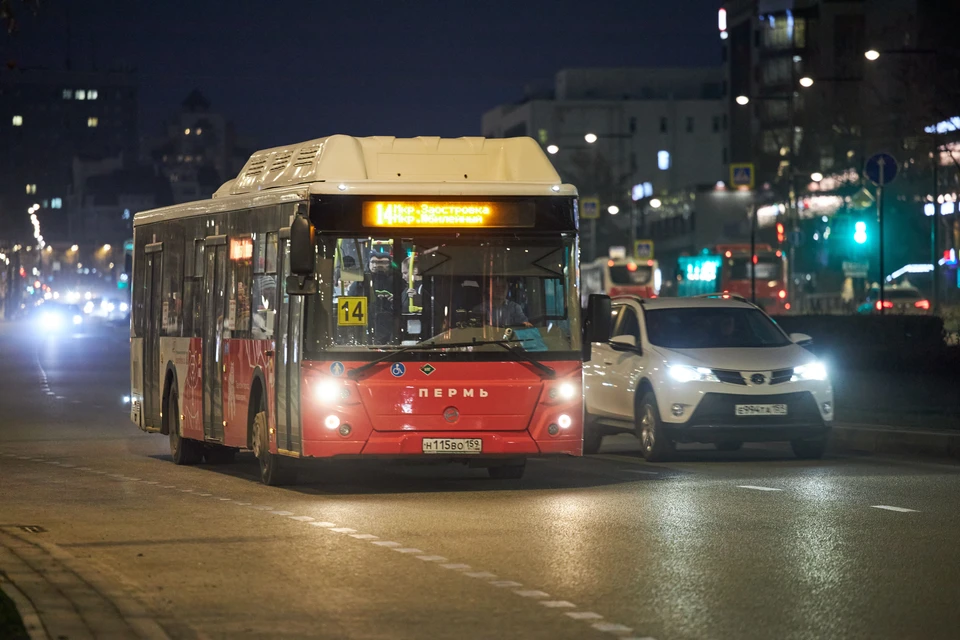 Автобусы будут перевозить пассажиров с 22:00 до 02:00 часов. Фото: ЦРТС