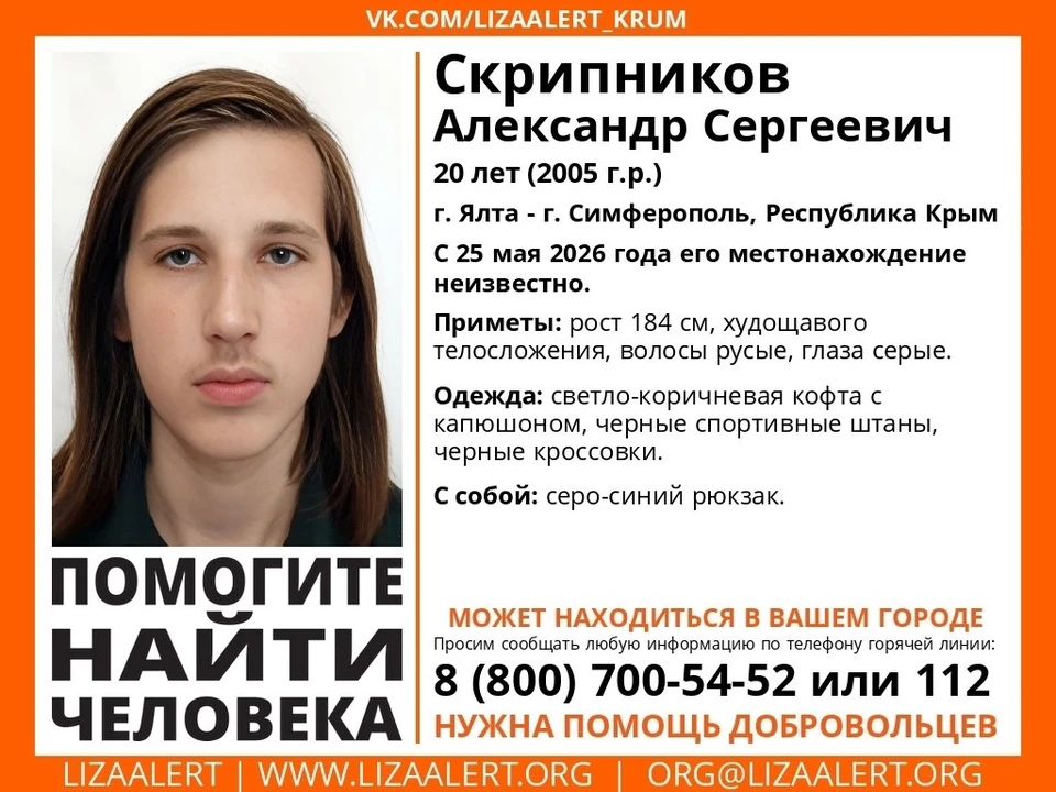 Где находится парень, выясняют сотни волонтеров. Баннер: поисково-спасательный отряд «ЛизаАлерт»