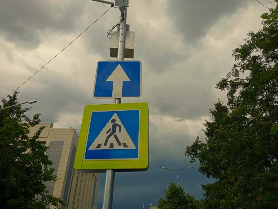 За сутки 39 белгородцев перешли дорогу в неположенном месте