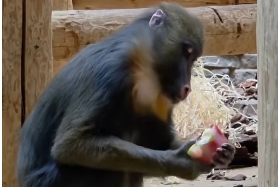 .