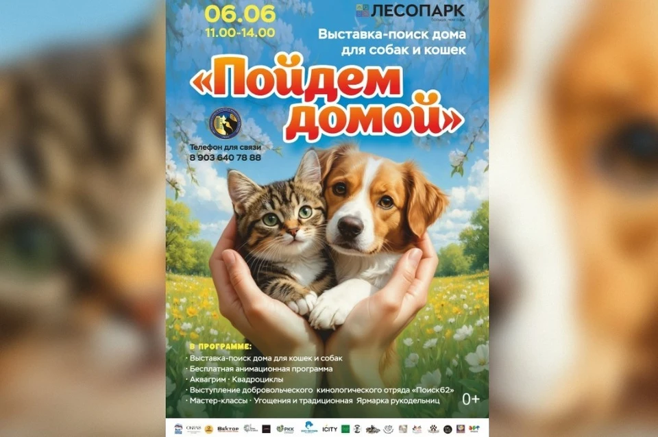 В Рязани пройдёт благотворительная выставка-поиск домашних животных «Пойдём домой».