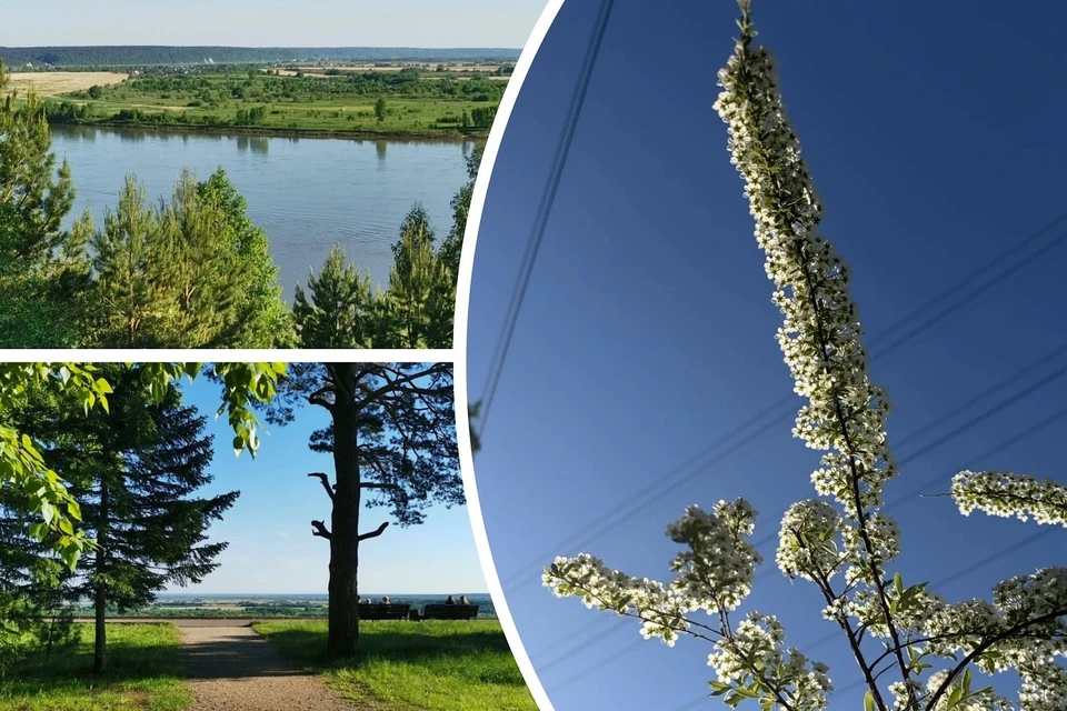 Жара за 30°С, насыщенные краски городских пейзажей — в подборке снимков от «КП». Фото: Людмила Ковалева, Диана Терещенко