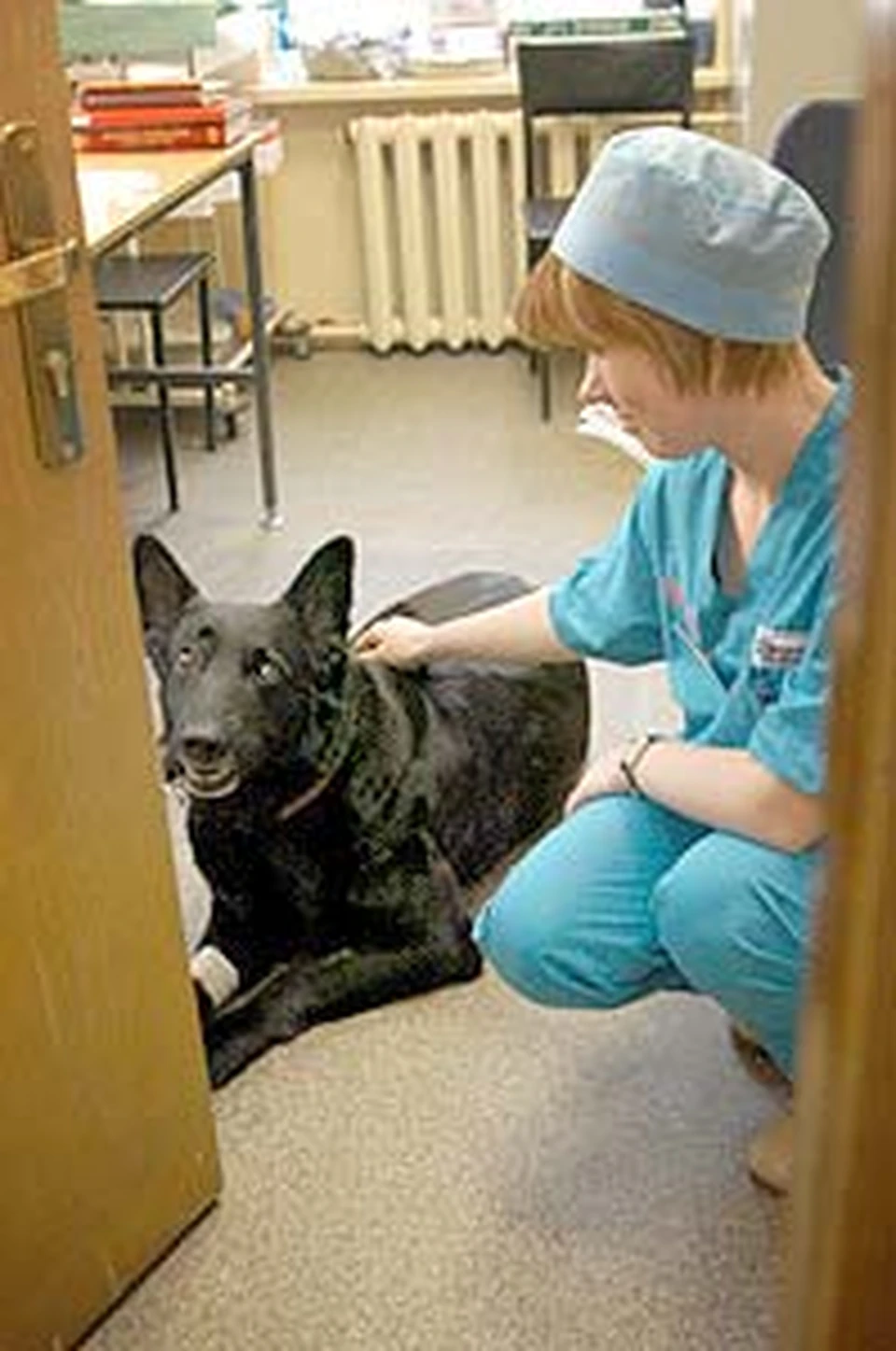 У людей в таком состоянии на душе скребут кошки. А кто скребет у кошек и собак?