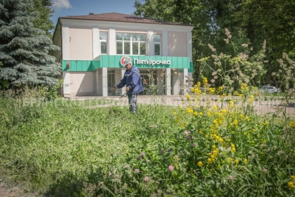 Фото: пресс-служба Брянской городской администрации.