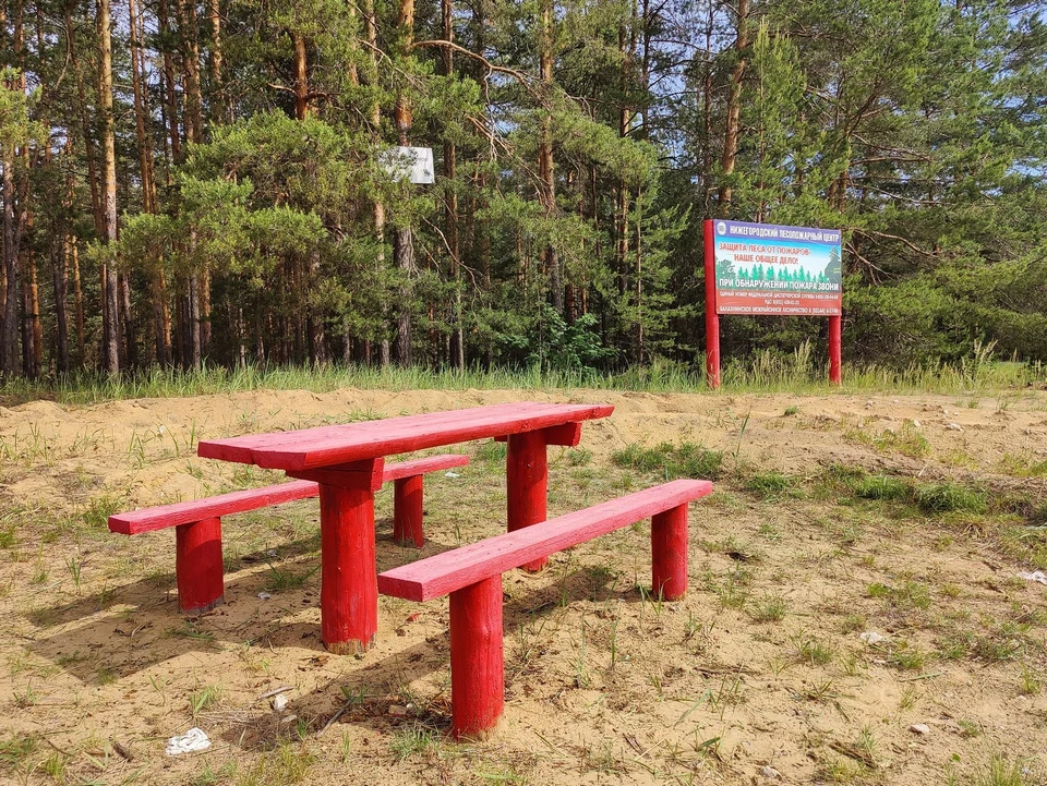 Более 3 тысяч мест отдыха оборудовали в лесах Нижегородской области. Фото: Минлесхоз Нижегородской области