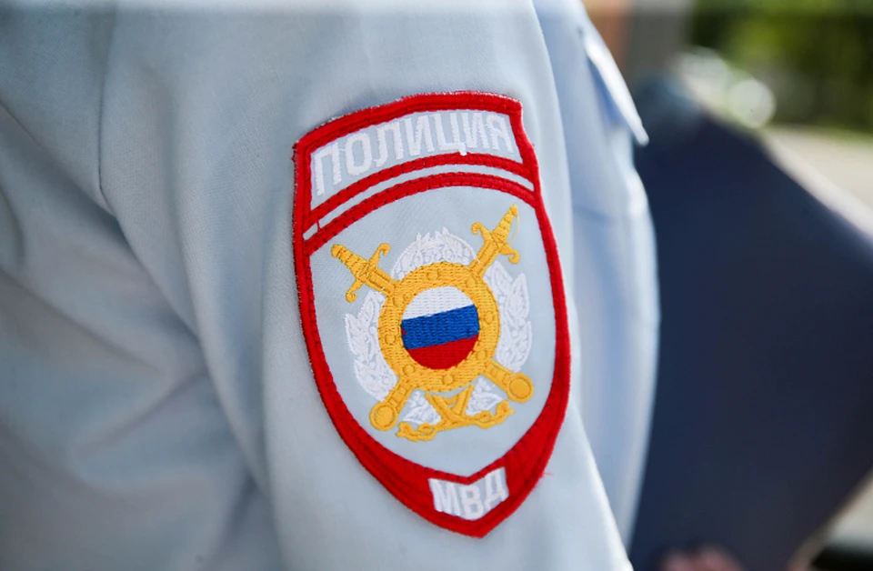 Отряд создан по инициативе губернатора Олега Кожемяко. Фото: правительство Приморского края