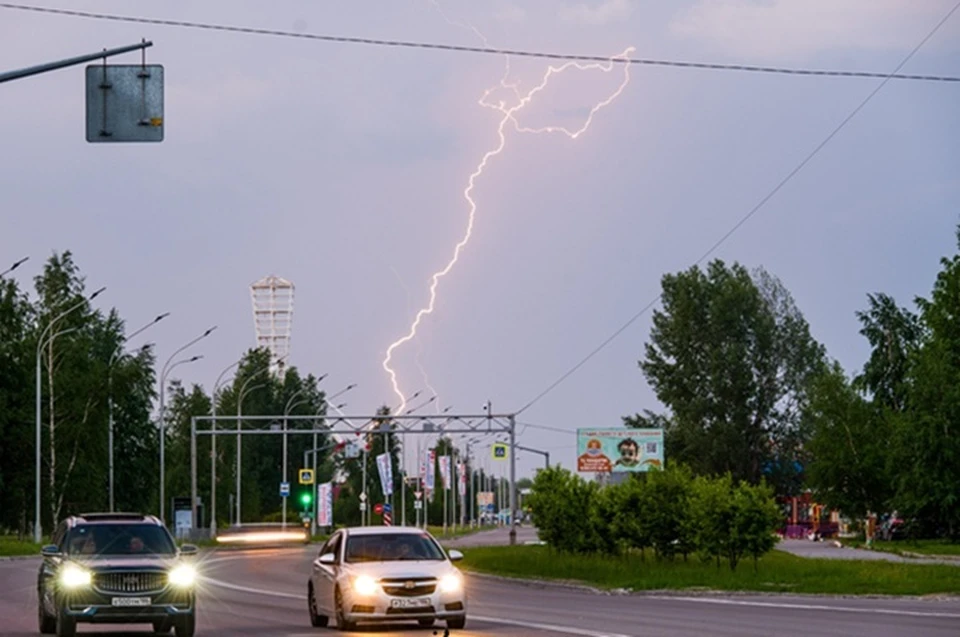Фото: Типичный краб Нижневартовск