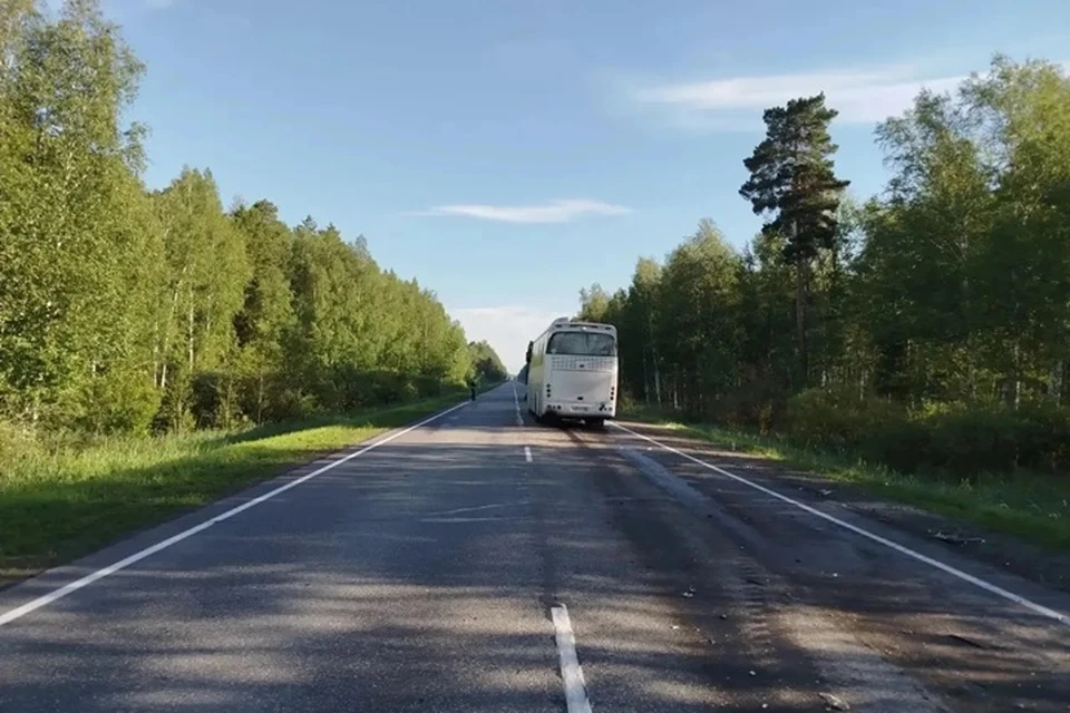 Фото: Госавтоинспекция Тюменской области
