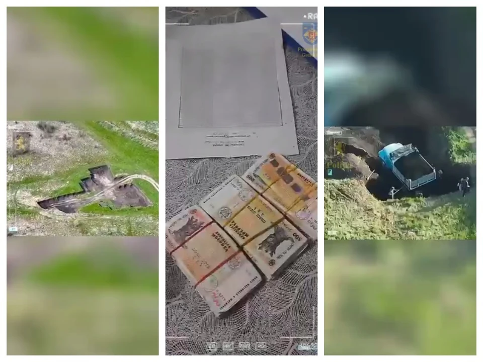 Четырех человек задержали по делу о незаконной добыче плодородной почвы и отмывании денег. Фото: коллаж КП